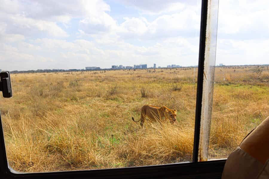 Nairobi National Park, Orphanage, Giraffe & Beads Tour - Game Drive in a 4x4 Open-Roof Jeep: Where the Time Goes