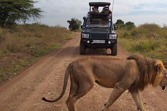 Nairobi National park private day tour - Key things to know before you go