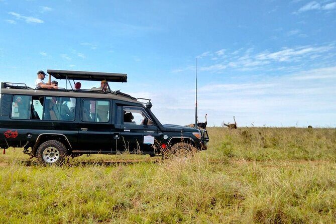 Nairobi National park private day tour - Tickets, mobile access, and weather: plan like a pro