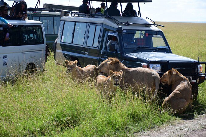 Nairobi National Park Shared Tour - What you likely won’t get: lunch and gratuities