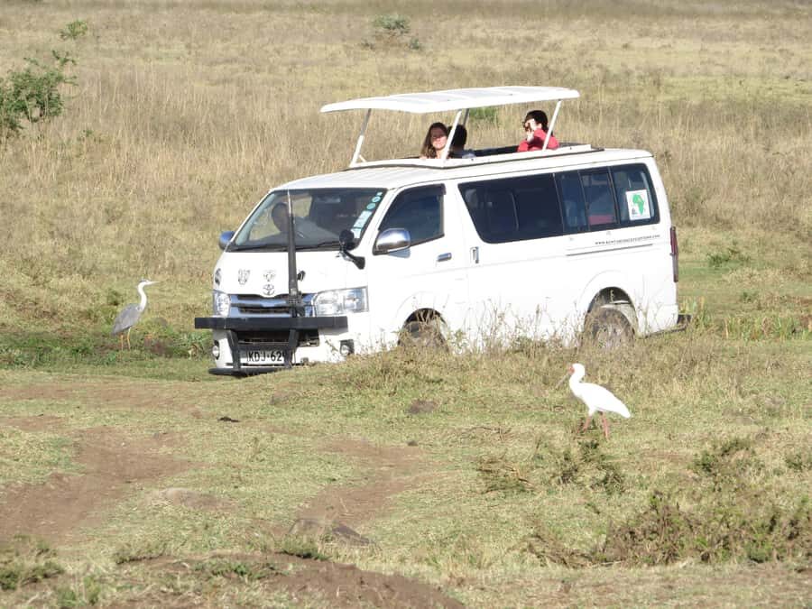 Nairobi national park: Sunrise and Sunset Tours - Key highlights you can plan around