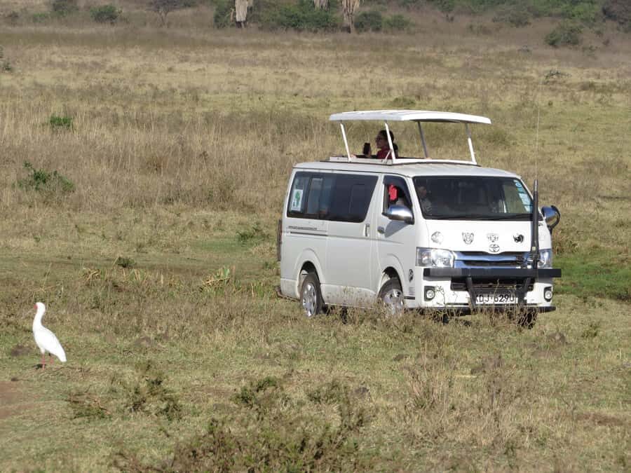 Nairobi national park: Sunrise and Sunset Tours - Sunrise or Sunset in Nairobi National Park: the moment you’re chasing