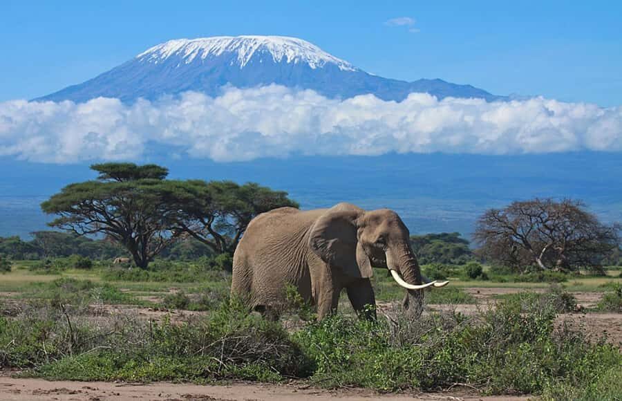 Nairobi: Overnight Safari Trip to Amboseli National Park - Key Things You’ll Notice on This Nairobi to Amboseli Overnight Safari