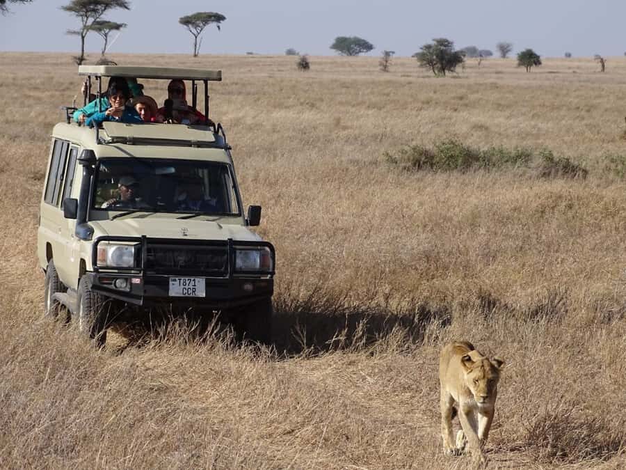 Nairobi: Overnight Safari Trip to Amboseli National Park - Should You Book This Overnight Safari From Nairobi to Amboseli?