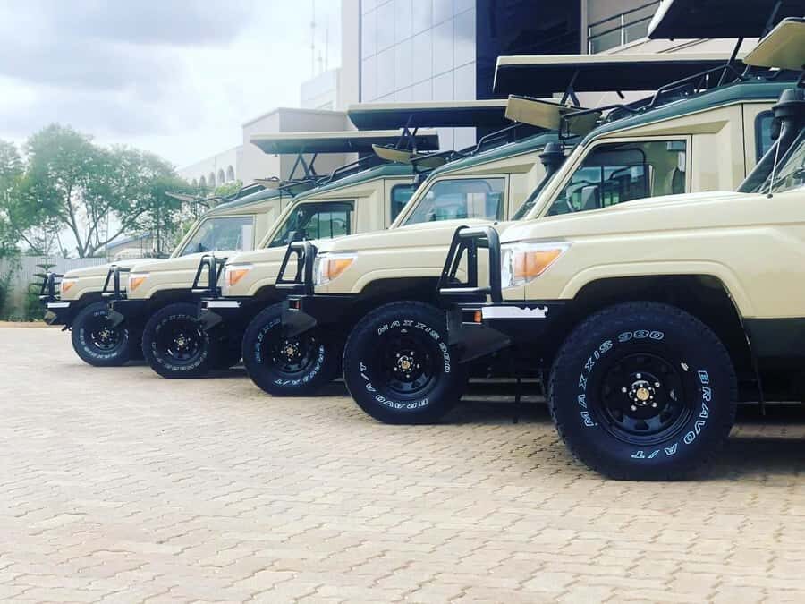 Nairobi: Overnight Safari Trip to Amboseli National Park - Price and Logistics: Is $698 Per Person Good Value?