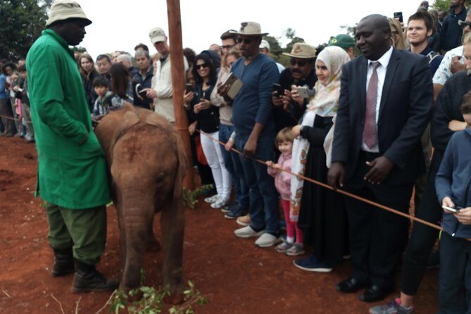 Nairobi park, steamark birds, Girraffe center & bomas - Who This Tour Suits Best