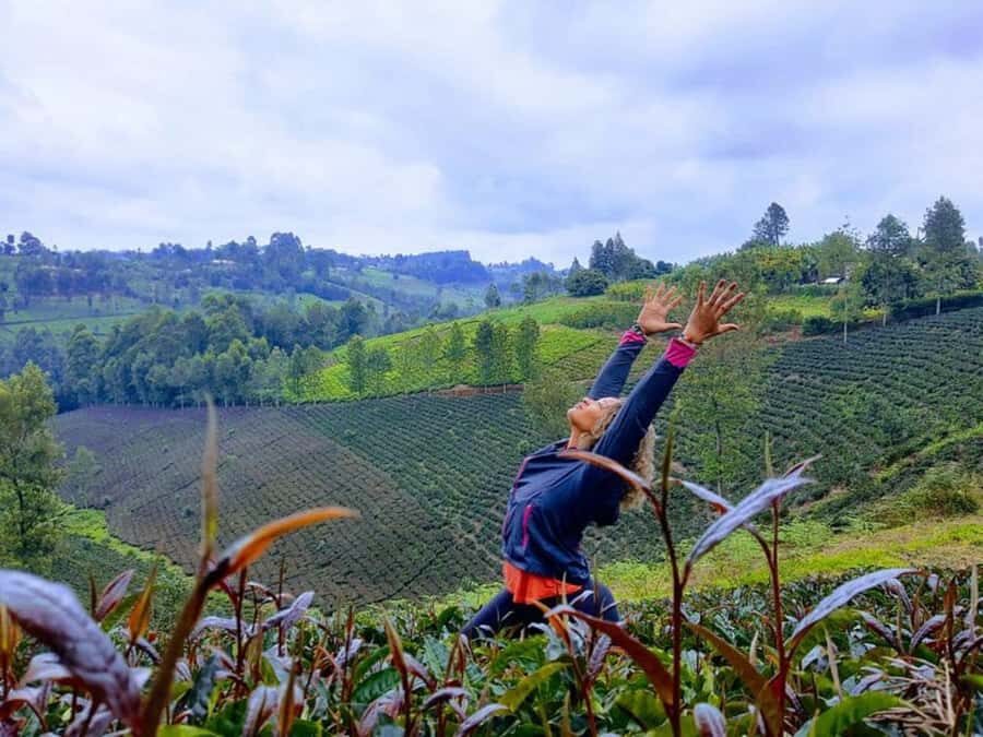 Nairobi: Purple Tea Farm Gatura Greens Day Trip - Bamboo forest trek to the waterfall: calm nature with one real challenge