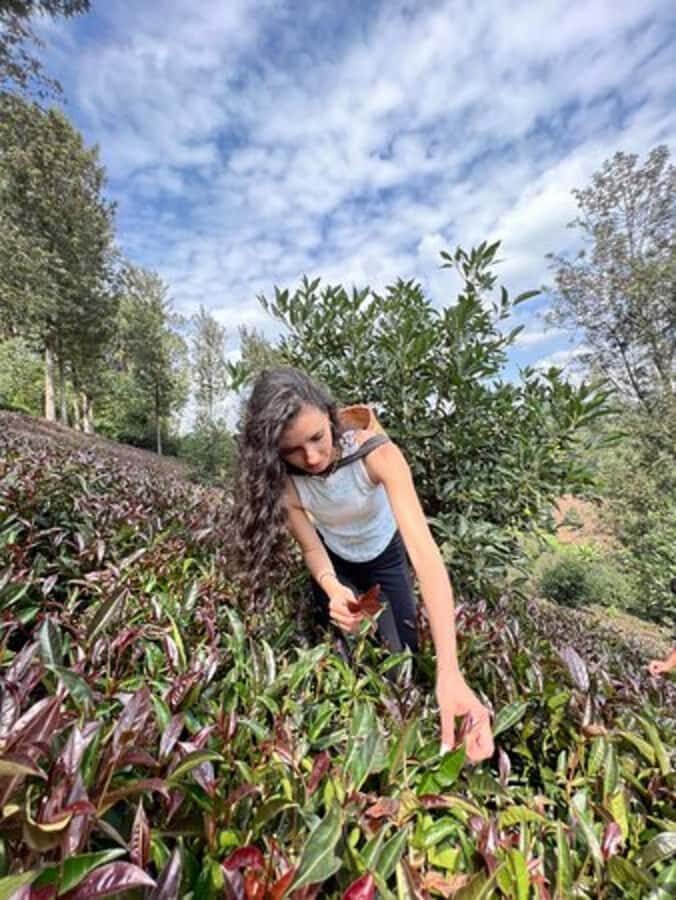 Nairobi: Purple Tea Farm Gatura Greens Day Trip - Getting there from Nairobi: drive time, comfort, and what to expect