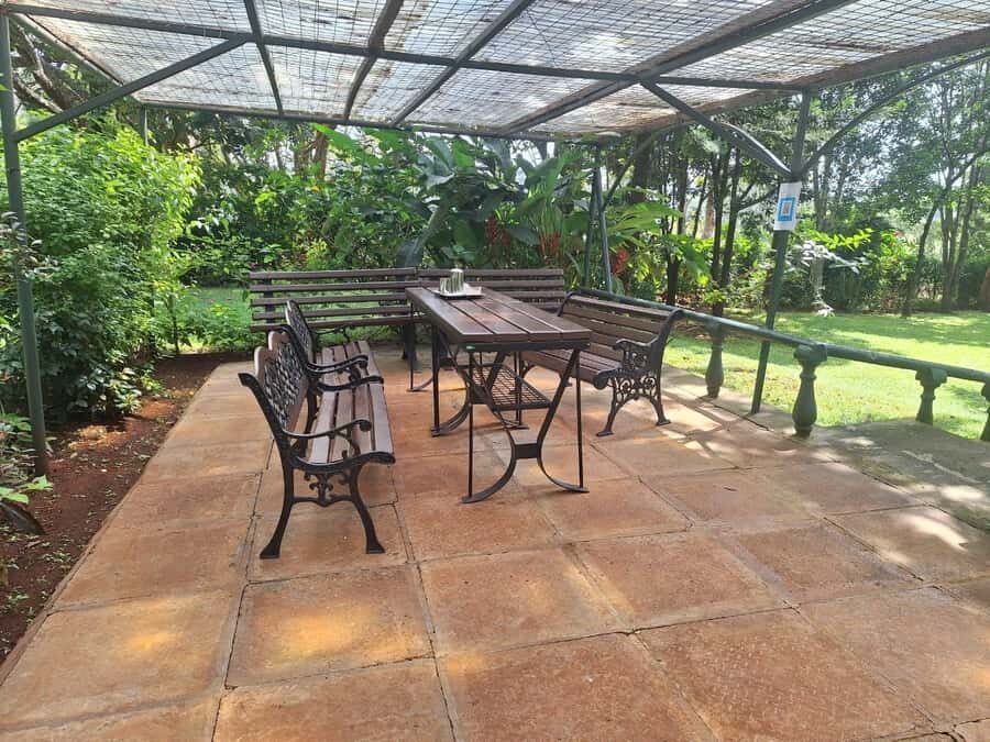 Nairobi: Tea Farm Day Trip with Lunch at kiambethu - Tea picking: what you do on the bushes (and why it matters)