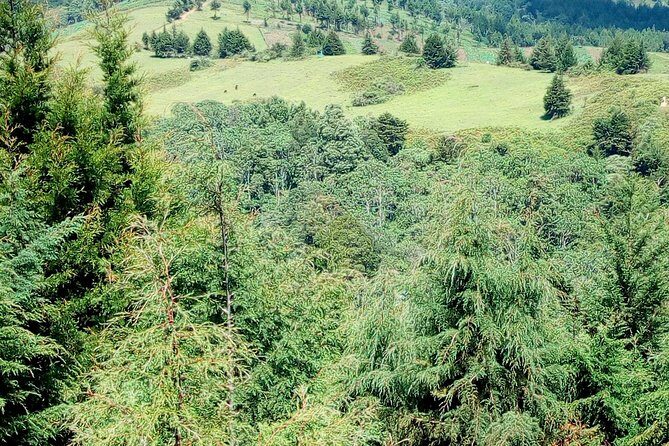 Nairobi Zip Lining Adventure Experience - Safety and pacing: what the guide actually adds