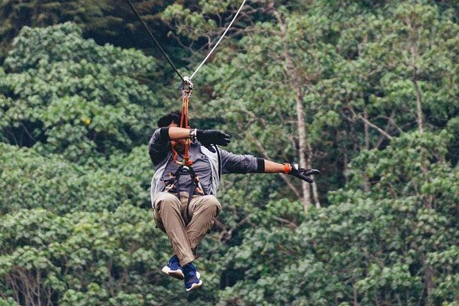 Nairobi Zip Lining Adventure Experience - Tour timing and what to plan for