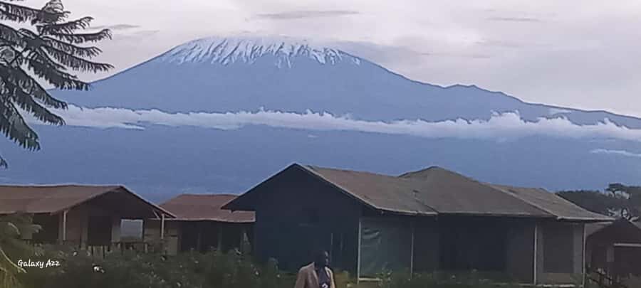 Nairobi:Day trip to Amboseli National park & Maasai village - Who this tour suits best