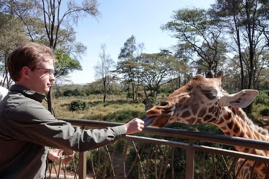 Nairobi:Giraffe Center, Baby Elephant and Beads factory Tour - First stop: Nairobi pickup and the short ride to the Giraffe Centre