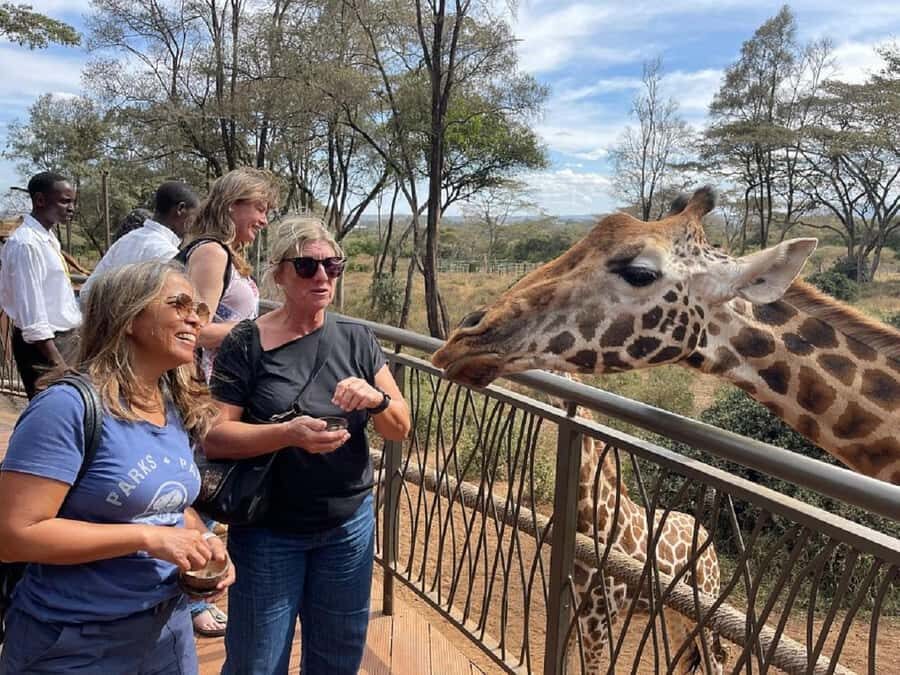 Nairobi:Giraffe Center, Baby Elephant and Beads factory Tour - The van ride back: a tight 5-hour day that packs a lot