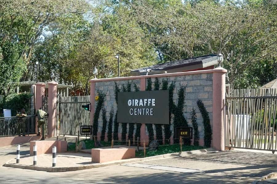 Nairobi:Giraffe Center, Baby Elephant and Beads factory Tour - Price and value: $32 is only the headline number
