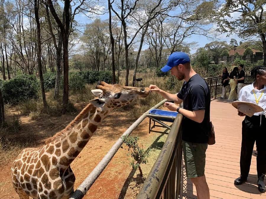 Nairobi:Giraffe Center, Baby Elephant and Beads factory Tour - Giraffe Centre: close encounters that feel personal (and slightly funny)
