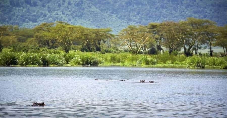 Nairobi:Group Hell's Gate National Park & Lake Naivasha Tour - Bike safari through Hell’s Gate: the best kind of active wildlife viewing