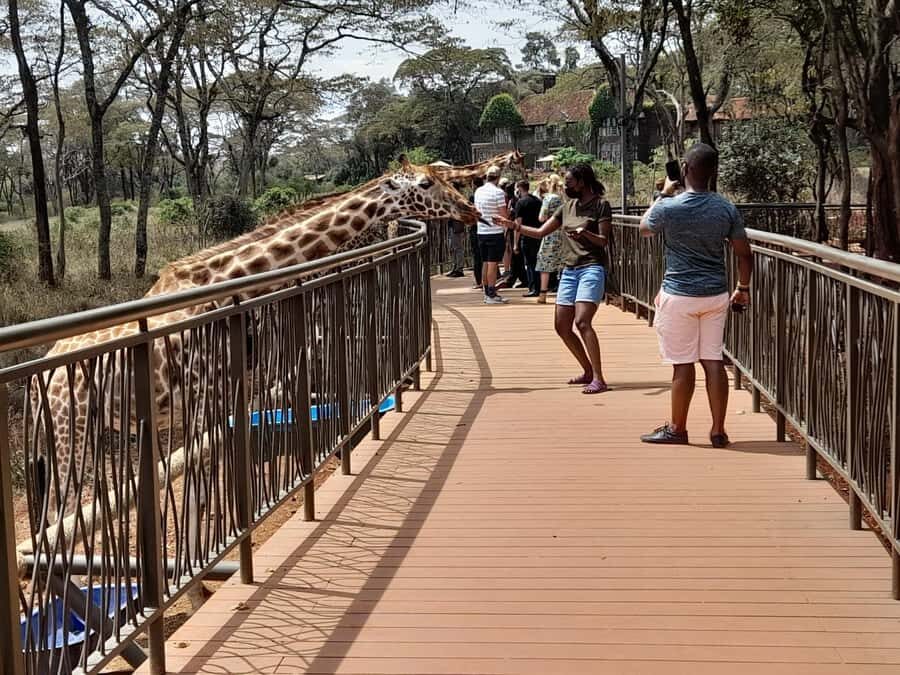 Nairobi:Nairobi national park,David sheldrick,GiraffeCenter - Should you book this Nairobi wildlife-and-conservation combo?