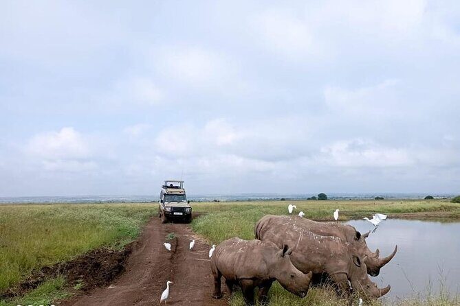 National Park Half-Day Group Tour in Nairobi with Pickup - Key Points You’ll Care About
