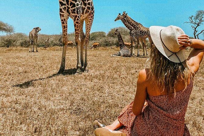 Nature Walk with Giraffes in Mombasa - Your guide’s role: conservation talk plus safety that feels real