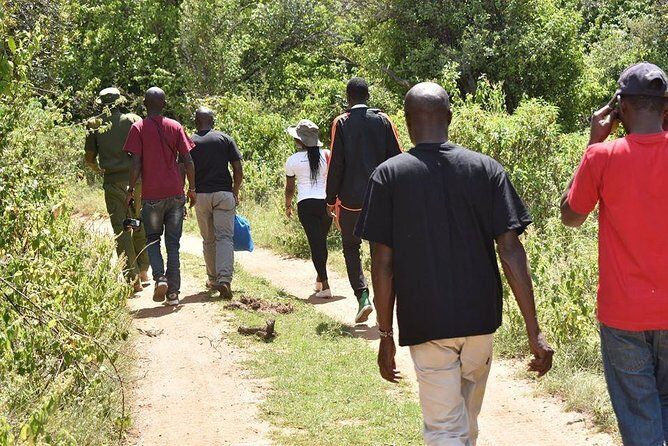 Ngare Ndare Day Trip - From Nairobi to Mt Kenya foothills: the setting you’re driving into