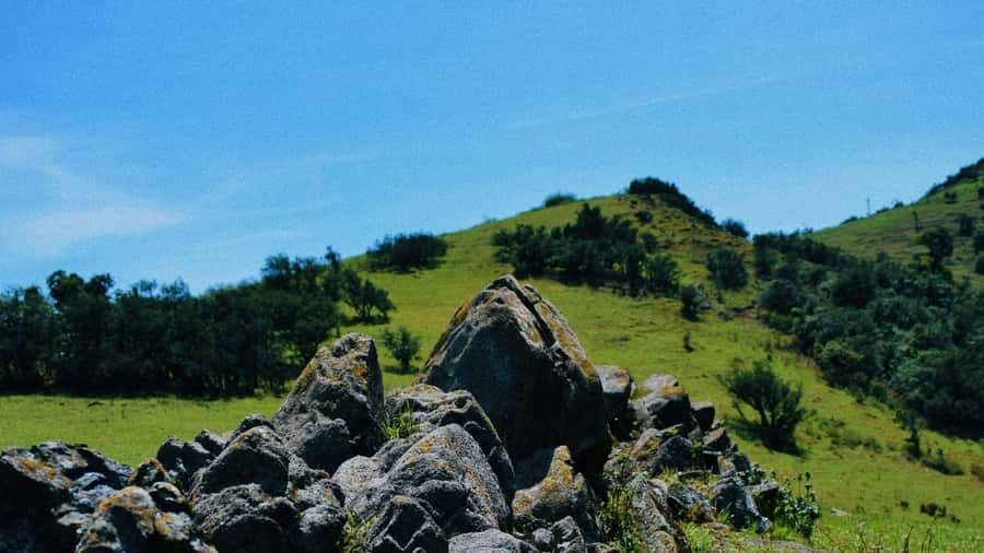 Ngong Hills: Private Hiking Tour - Key things I’d bet on before you go