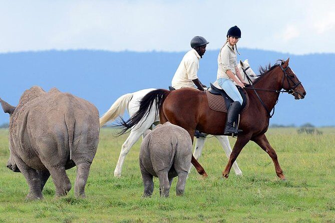 Ol Pejeta Conservancy Day Tour from Nairobi - Who this tour fits best (and where it may not)