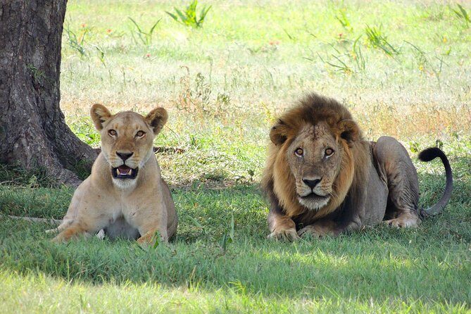 Olpejeta, Lake Naivasha, Masai Mara 5 Days Private Kenya Jeep tour - Price and value: what $2,880 includes, and where extra costs can appear