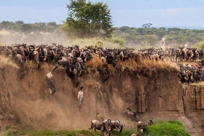 Overnight Maasai Mara Private Safari From Nairobi - Key things I’d watch for before you book