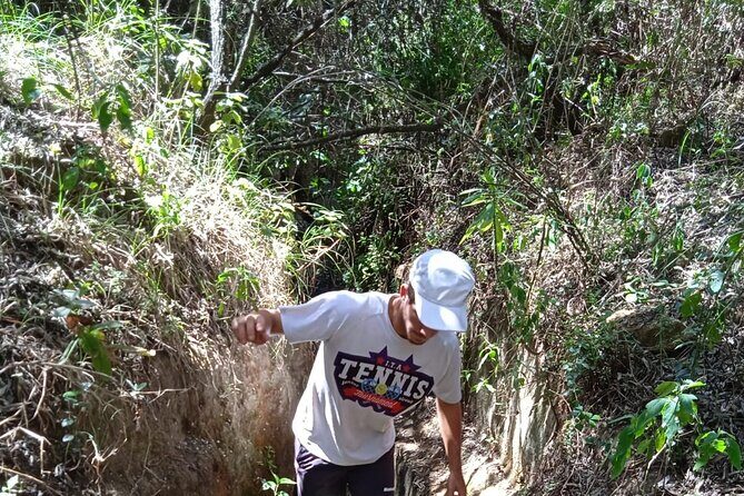 Overnight Mount Longonot and Hells Gate National Park From Nairobi - Kifaru Restaurant and the Lake Naivasha reset