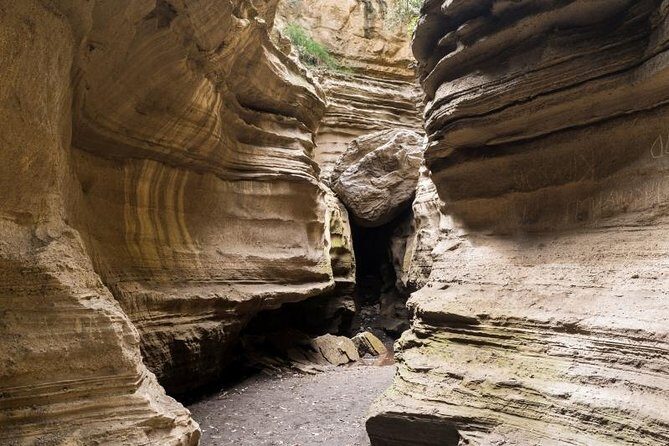 Overnight Mount Longonot and Hells Gate National Park From Nairobi - The Lake Naivasha boat ride: hippos and fish eagle time
