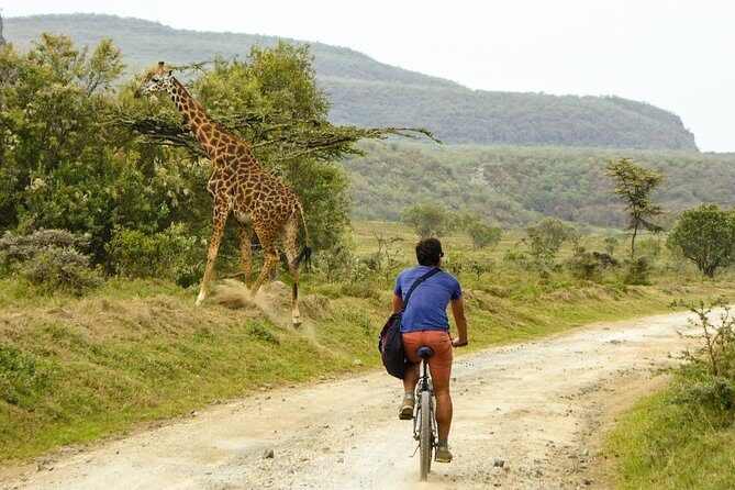 Overnight Mount Longonot and Hells Gate National Park From Nairobi - Mt Longonot crater hike: the main work, the main payoff