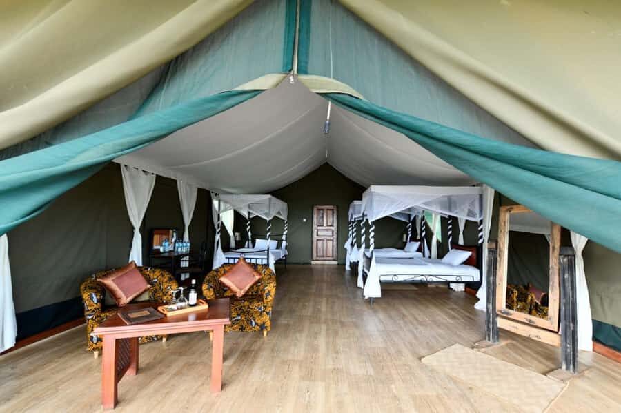 Overnight Private Safari To Masai Mara - Should you book this Overnight Private Safari to Masai Mara?