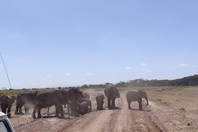 Overnight Safari to Amboseli National Park - Nairobi to Amboseli: What You’re Really Signing Up For