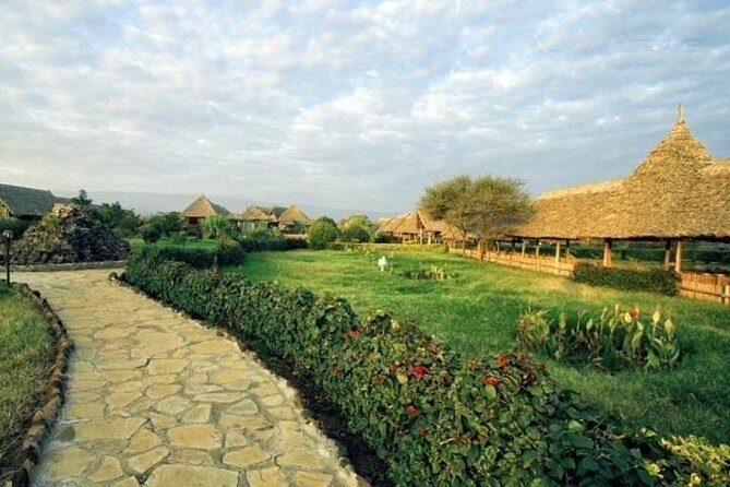 Overnight Safari to Amboseli National Park - Day 2: The 6:00 AM Kilimanjaro Moment and Morning Game Drive