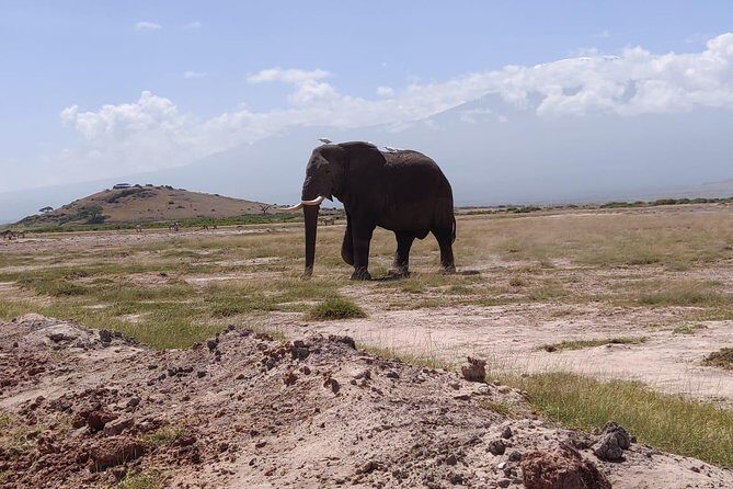 Overnight Safari to Amboseli National Park - What’s Included (and Why It’s Worth Paying For)