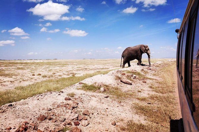 Overnight Safari to Amboseli National Park - Practical Considerations Before You Go