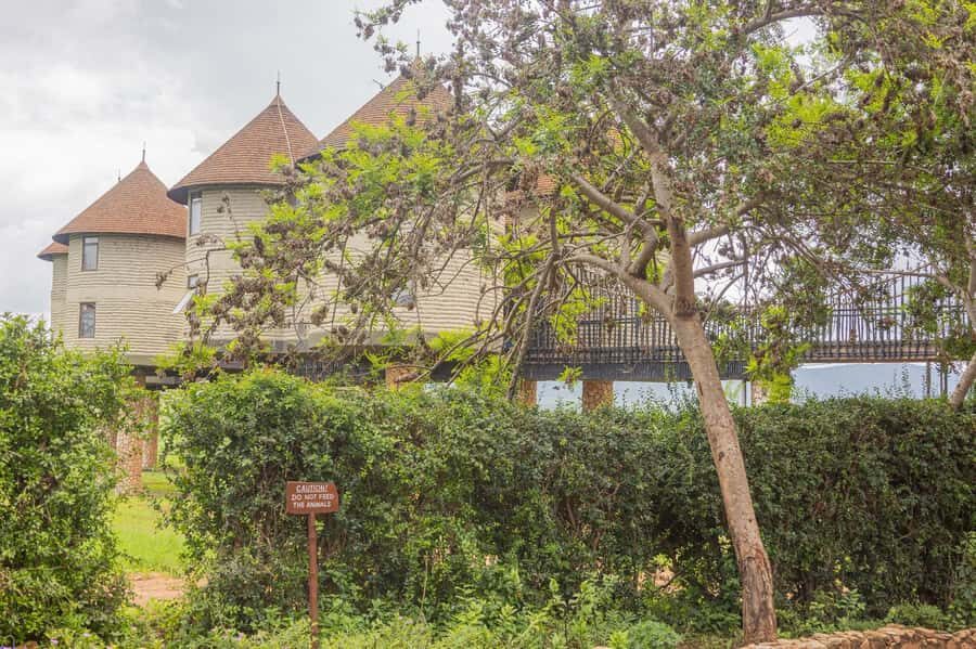 Overnight Safari to Saltlick through Tsavo East Park - Return to the Coast With One Last Viewing Chance
