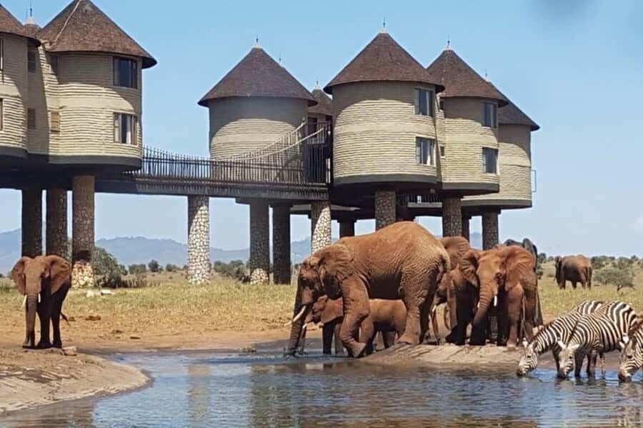 Overnight Safari to Saltlick through Tsavo East Park - Morning Pickup From Mombasa or Diani to Tsavo East: Gates, Drives, and Aruba Dam