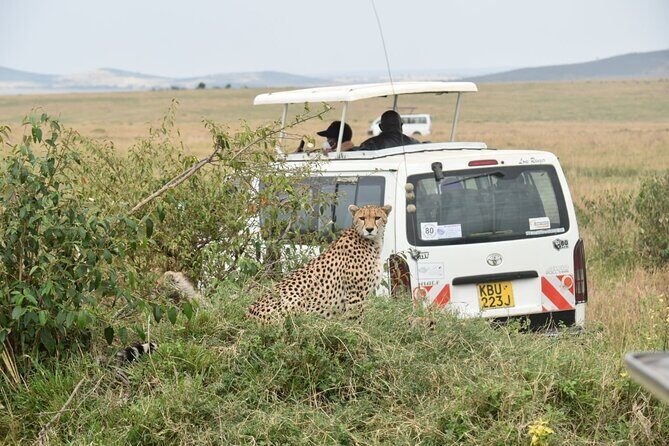 Overnight Safari to Tsavo East with Pick Up From Mombasa - Aruba Dam: the waterhole stop that sets the tone