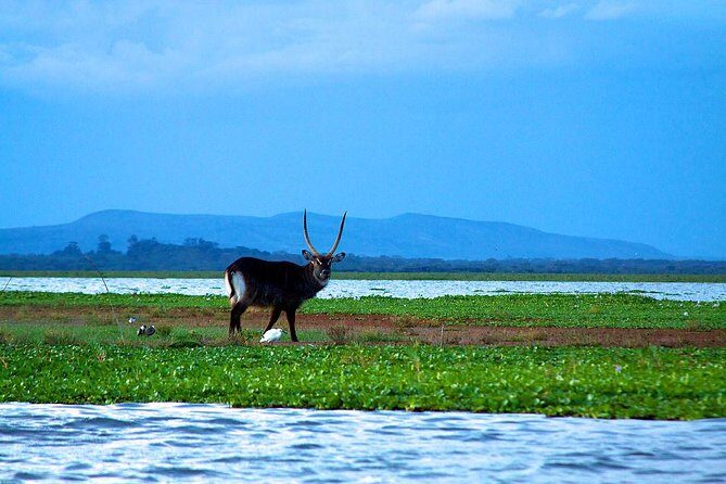 Overnight tour to mount Longonot and Hells Gate Naivasha - Mt Longonot National Park: hiking to the crater rim