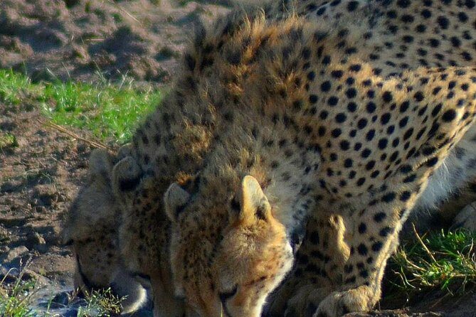 Private 3 Day Tsavo East Safari from Mombasa - Tsavo East from Mombasa: what this 3-day private safari really gives you