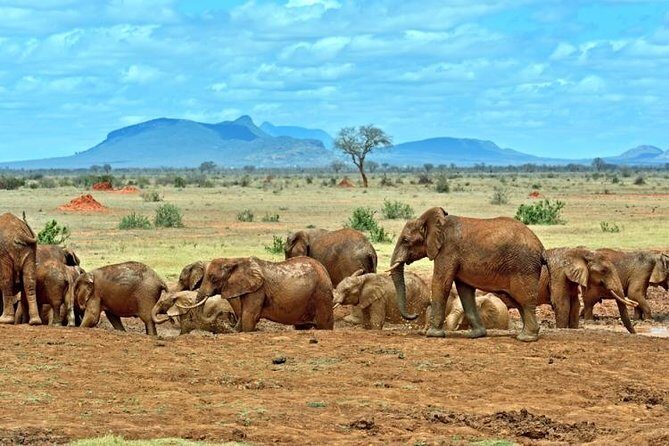 Private 3 Day Tsavo East Safari from Mombasa - Day 1 from Bachuma Gate to the evening drive
