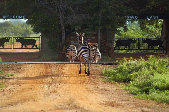 Private 3 Day Tsavo East Safari from Mombasa - VOI Wildlife Lodge: your rest stop between game drives