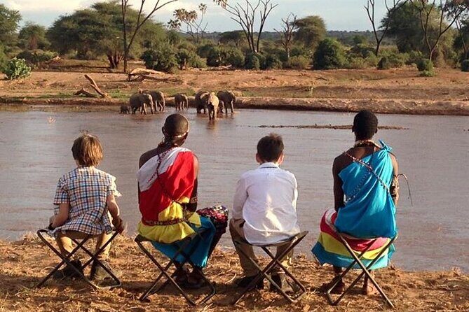 Private 5 Day Kenya Safari in Mara Lake Naivasha and Amboseli - What makes Mwema Africa Safaris feel dependable in practice