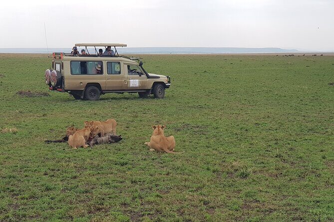 Private 5 Day Maasai Mara with Lake Nakuru and Lake Naivasha Tour - Mara River Drama: Where Migration Meets Predators