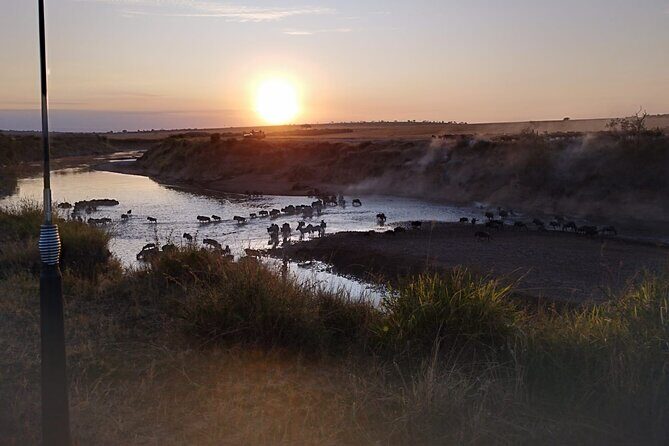 Private 5 Day Maasai Mara with Lake Nakuru and Lake Naivasha Tour - Lake Naivasha Boat Ride: Hippo Viewing and Fish Eagle Watching