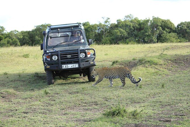 Private 7 Days Kenya Safari Amboseli, Naivasha, Nakuru, Mara - Meals, Lodge Stops, and Timing: The Stuff That Keeps You From Getting Tired