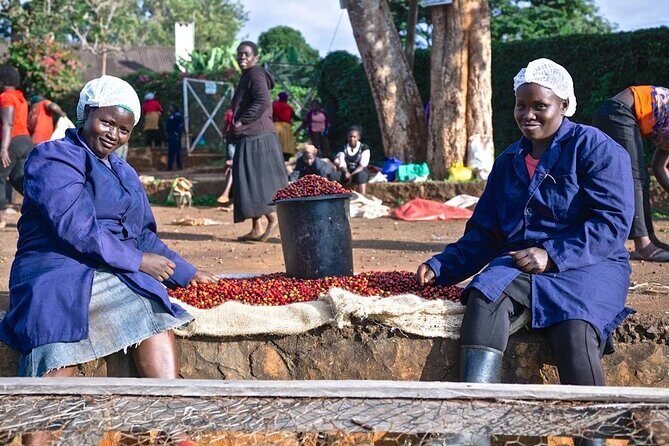 Private Half-Day Tour in Fairview Coffee Farm from Nairobi - Welcome Briefing at Fairview: What You Learn Before You Taste