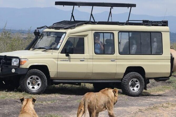 Private Half Day Tour in Nairobi National Park Safari - Birdwatching in the park: when it matters and when it doesn’t